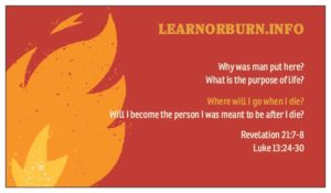 Learn or Burn Dot Info