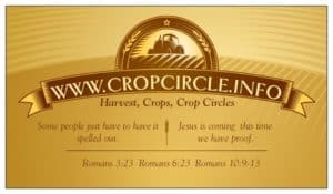 Business Cards You put them down, they pick HIM up.