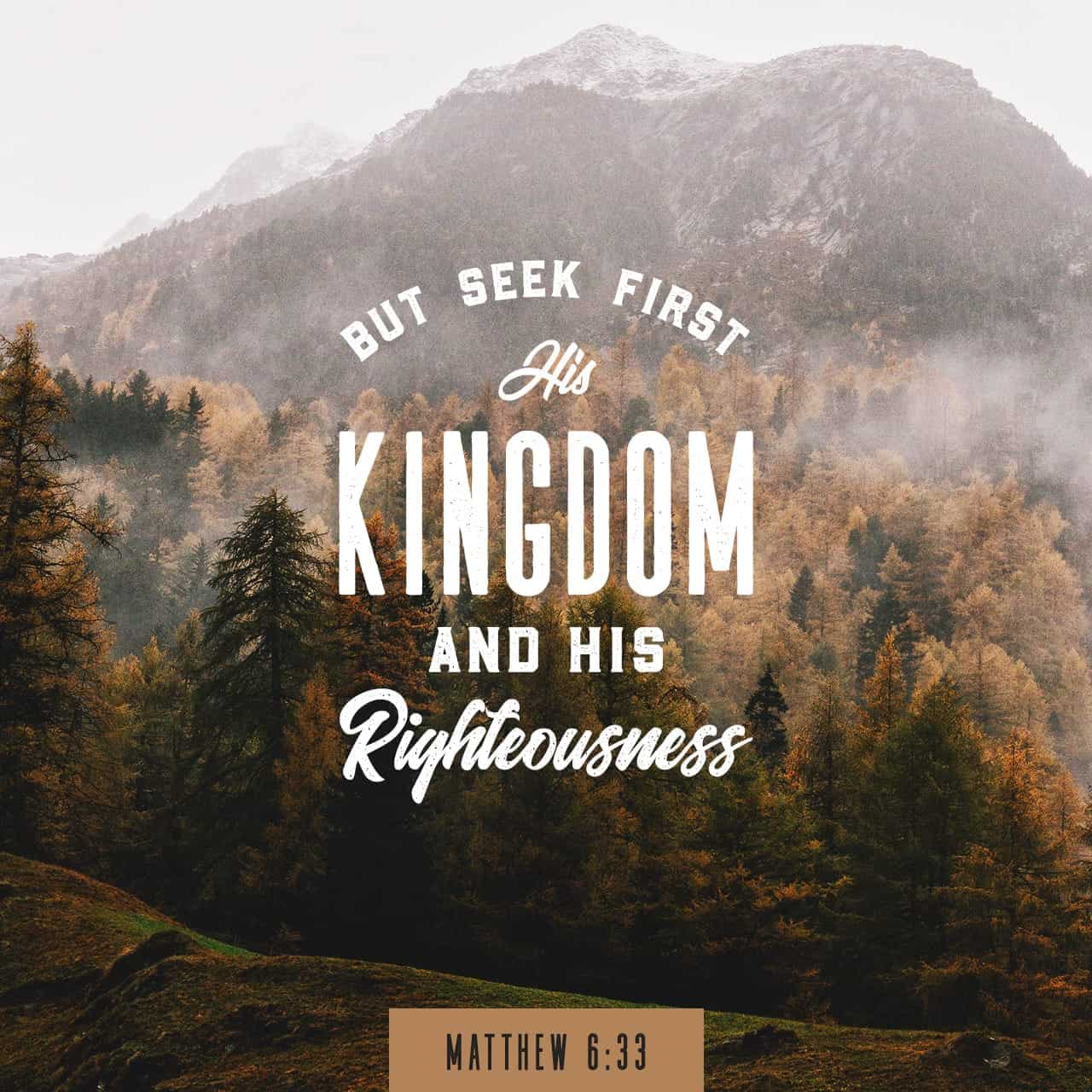 Matthew633